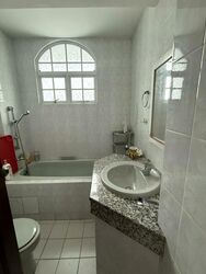 Poh Huat Road (D19), Semi-Detached #484825571